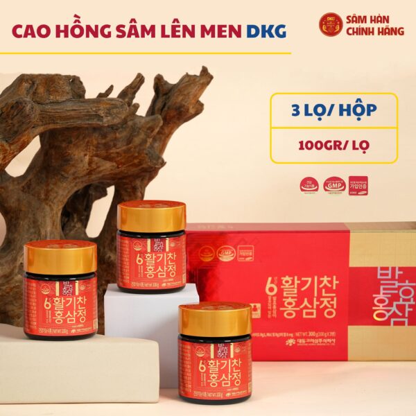6 years fermented red ginseng extracts (100g x 3 lọ) – Daedong